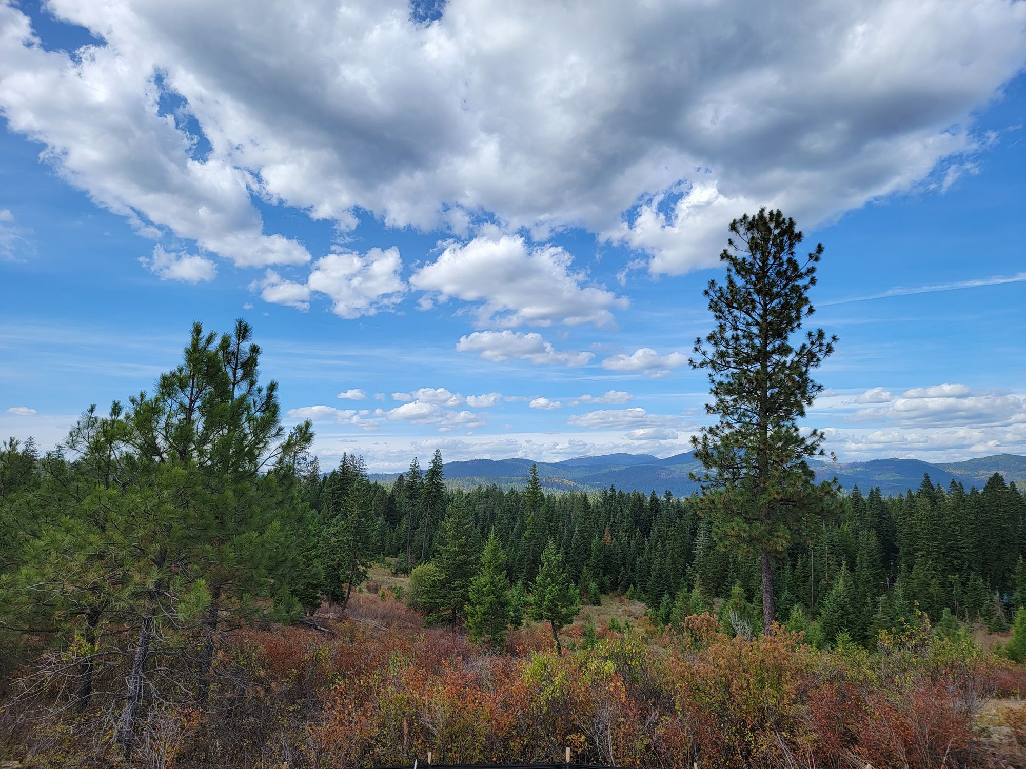 Mountain views that Ridge at Hauser sellers can highlight, Hauser ID